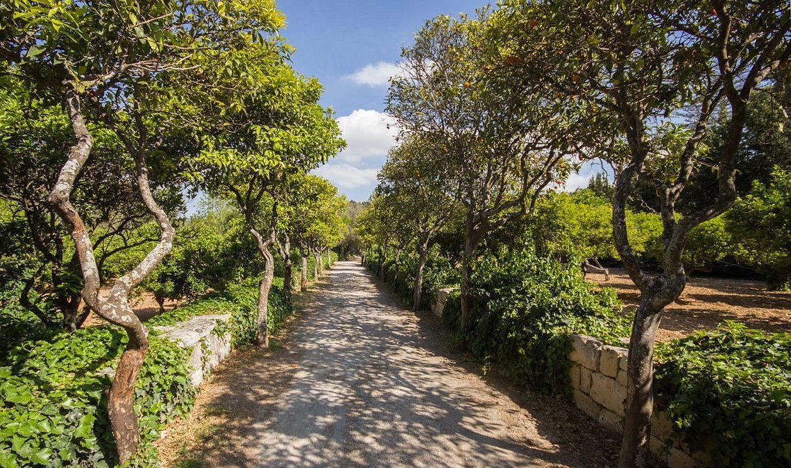 Ambjent Nadif u Sostenibbli